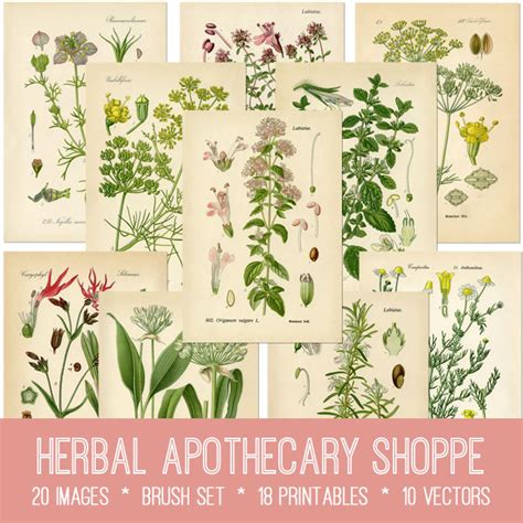 Herbal Apothecary Shoppe Kit Graphics Fairy Premium Membership The