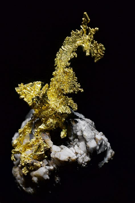 Vein Of Natural Gold On Quartz Taken At The Museum Of Natural Science
