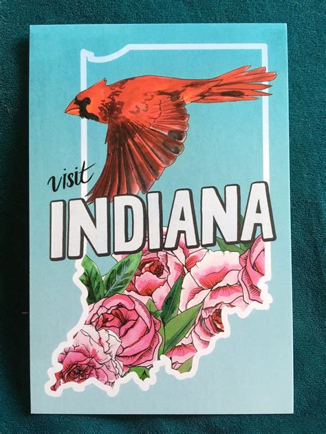 Indiana State Bird And Flower Postcard 4x6 Etsy