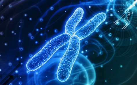 Anormalidades Cromosomicas Anormalidades En El Numero De Cromosomas Gambaran