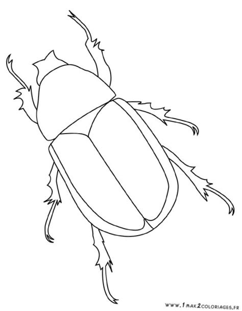 56 Dessins De Coloriage Insecte à Imprimer Sur Page 1