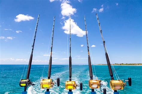 Deep Sea Fishing Via Private Charter 2023 Punta Cana