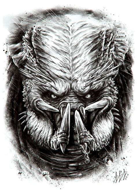 We have collected 34+ original and carefully picked predator. Pin by Andy Airil on Alien Vs Predator | Predator artwork ...
