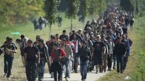 أعلى محكمة أوروبية تجيز ترحيل طالبي اللجوء Bbc News عربي
