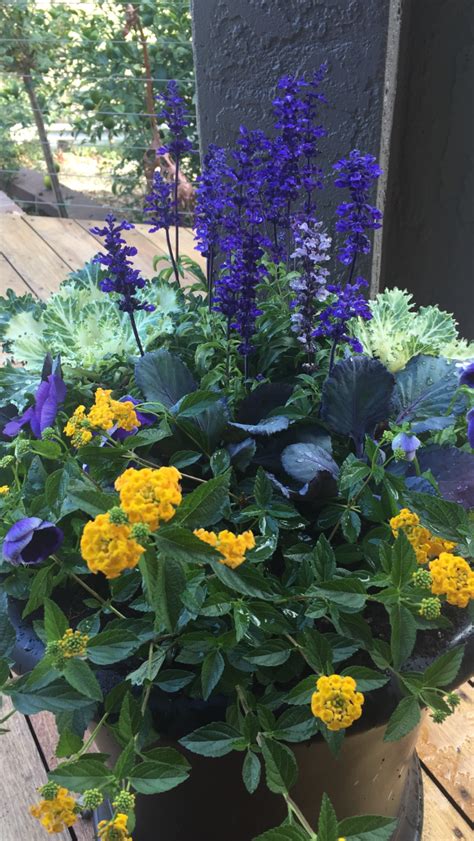 The words are about flowers on the hillside bloomin' crazy/crickets talkin' back and forth in rhyme. Pin on Bloomin' Crazy
