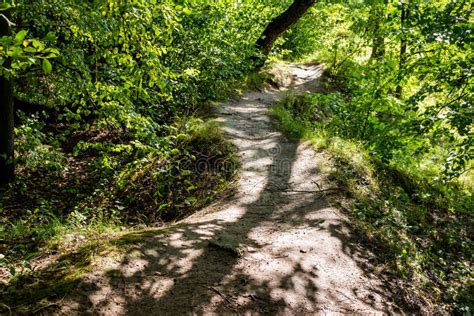 Beautiful Winding Forest Path Stock Image Image Of Outdoor Travel