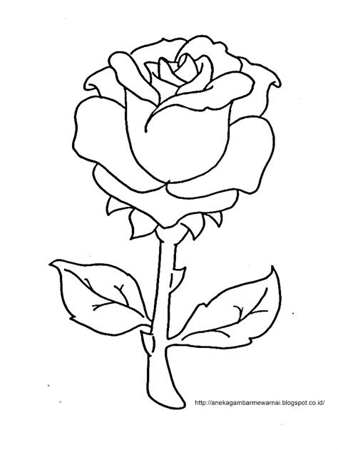 May 10, 2021 by vera persibtiawati. Gambar Mewarnai Bunga Mawar Untuk Anak PAUD dan TK