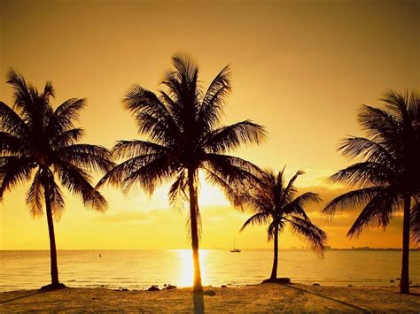 These cameras are intended to provide viewers with images of ocean and weather conditions along the coast at the inlets and adjacent beaches. Beach Sunrise Wallpapers - Wallpaper Cave