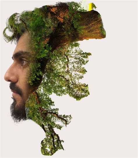 Hd Wallpaper Mans Face And Forest Photo Manipulation Double Exposure