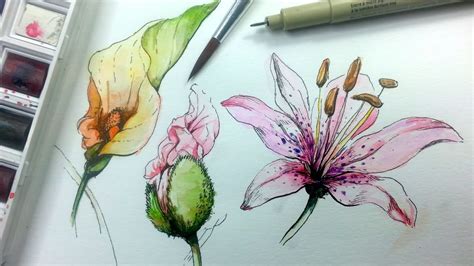 How To Draw And Paint Flowers With Ink And Watercolor Part 1 Youtube