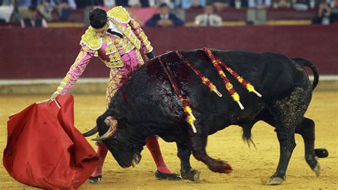 Madrid Court Rules Against Catalonia Bull Fighting Ban