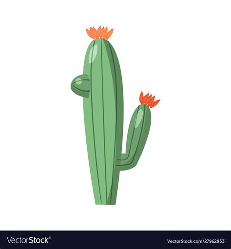 Cartoon Cactus Bright Cacti Colored Royalty Free Vector