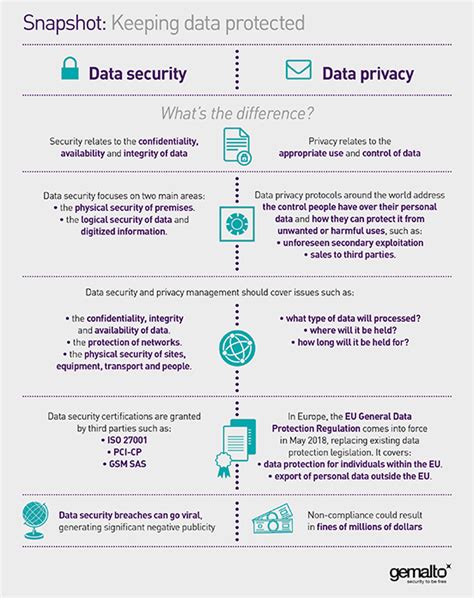 Infographic Data Security And Data Privacy