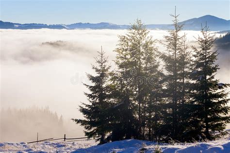 The Sea Of Fog With Forests As Foreground Stock Image Image Of Beauty