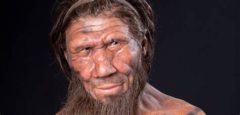 Why Did Neanderthals Look Different To Us Natural History Museum