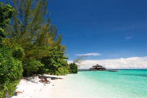 Sabah ile ilgili bugünkü son dk haberler ile geçmişten bugüne fotoğraf, video ve tüm haber arşivi için tıklayın. Lankayan Island Resort Sandakan Sabah Malaysia