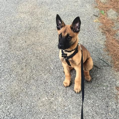 Kodathemalinois On Instagram “another Tbt😭😍 His Mask And Coat