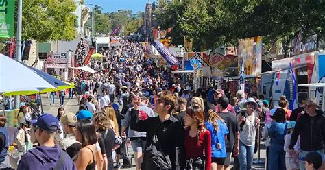 What To Do At The Ekka Things You Shouldn T Miss