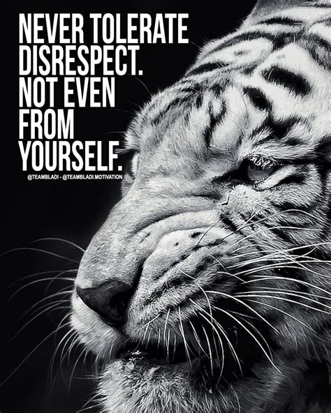 Never Tolerate Disrespect Not Even From Yourself Motivation Quotes