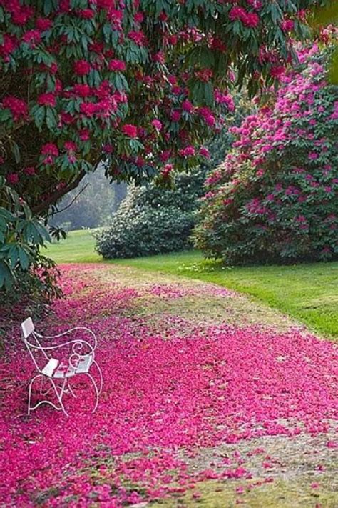 Pin By Christine Beasley On Pathways Beautiful Gardens Beautiful