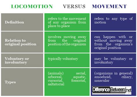 Difference Between Locomotion And Movement Difference Between