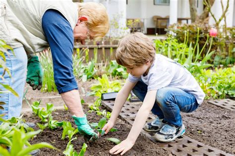 Hábitos Que Eu Quero Cultivar