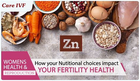 Fertility Boosting Effects Of Zinc On Male And Female Fertility Fertility Boosting Nutrients