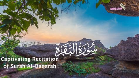 Experience The Beauty Of Surah Al Baqarah A Captivating Recitation