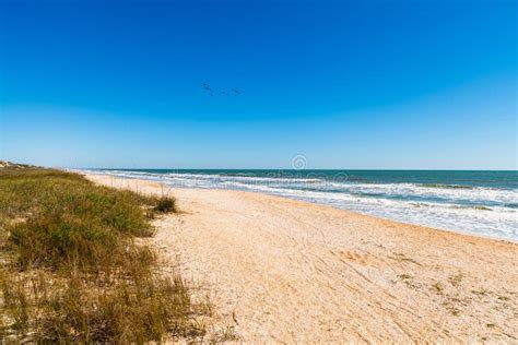 ponte vedra beach stock image image of seascape grass 74704683