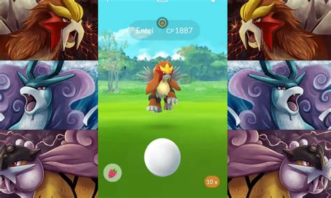 Entei Pokemon Go Raid Guide How To Get Best Counters Pvp
