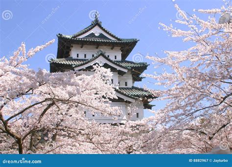 Cherry Blossoms And Japanese Castle Tower Stock Image Image Of Bloom