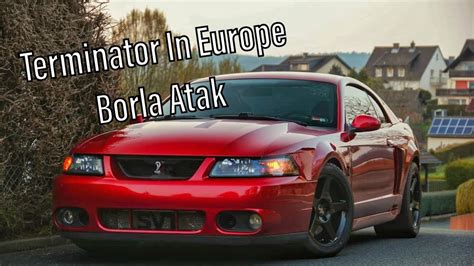 Sn95 Mustang New Edge Mustang 03 Cobra Invades Europe Borla Atak