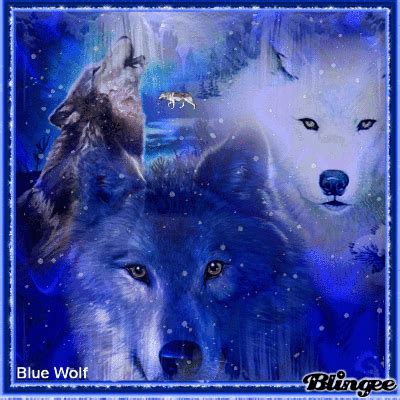 Blue Wolf Picture Blingee Com Wolf Images Wolf Photos