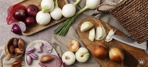 Tipos De Cebolla Y Sus Usos En Cocina Mercadona