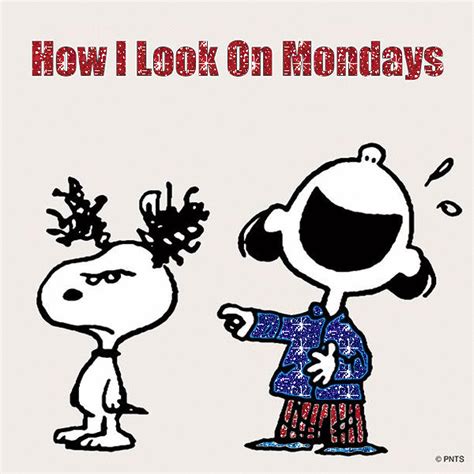 Pin By Antoinette On Manic Monday Snoopy Funny Snoopy Love Snoopy