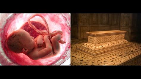 From The Womb To The Tomb - YouTube