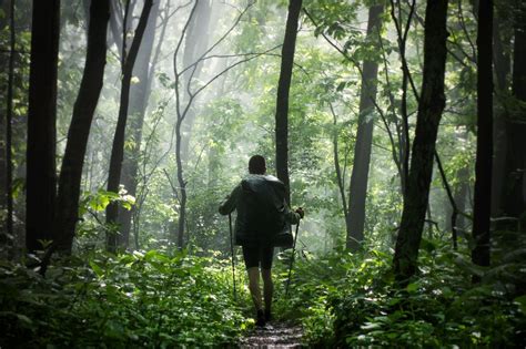 How to survive when you’re lost in the wild - pennlive.com
