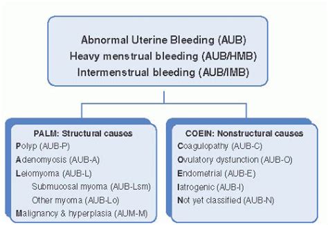 Abnormal Uterine Bleeding Classification