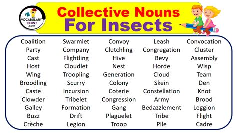 Collective Nouns For Insects With Meaning And Examples Vocabulary Point