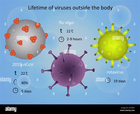 Lifetime Of Viruses Outside The Body Infection Stock Vector Image