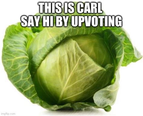 Cabbage Imgflip