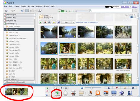 Picasa Web Albums Basics Learn Picasa And Google Photos