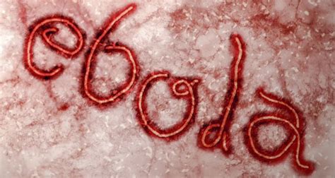 Ebola The Fear Factor Capital Moments