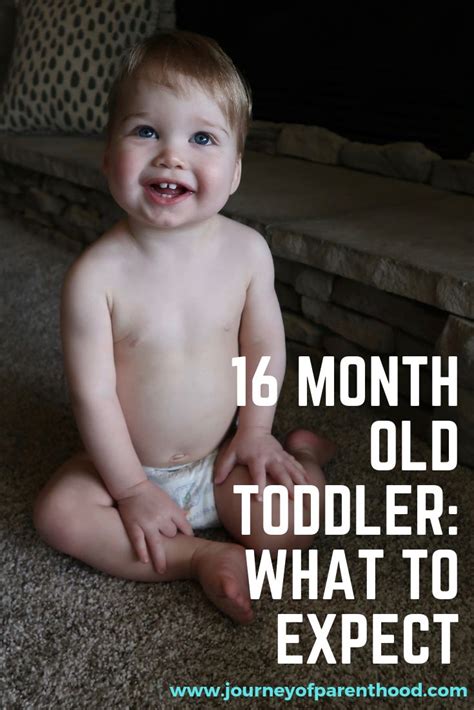 What To Expect With A Toddler At 16 Months Old Including Milestones And