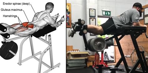 Reverse Hyperextension Guide Muscles Worked Variations And Benefits Fitness Volt
