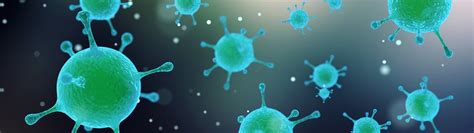 Scientists Discover Mysterious Virus In Brazil With No Known Genes Mysterious Universe