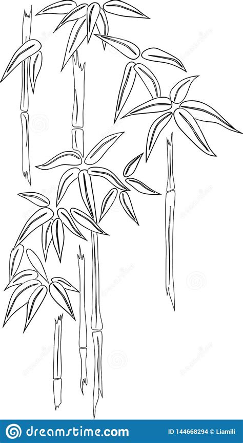 Contour Drawing Of Tropical Bamboo Stock Vector