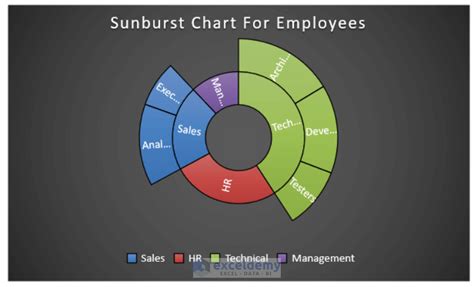 How To Insert Sunburst Chart In Excel 2 Easy Examples