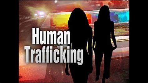 Florida Anti Trafficking Efforts Could Be National Model