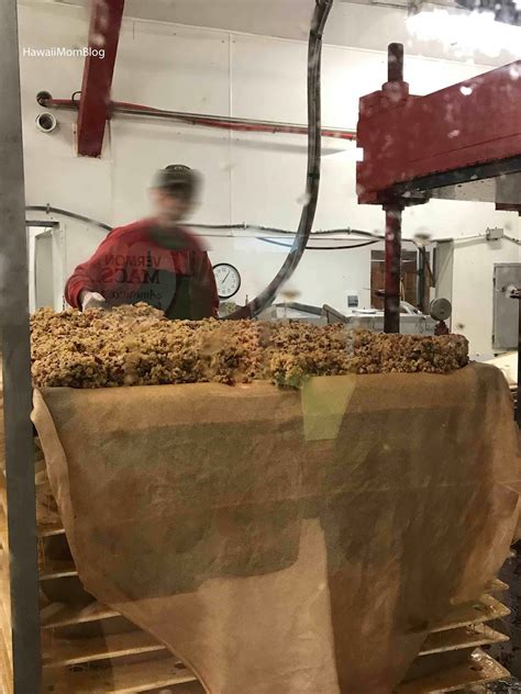 We've worked like dogs (we love dogs) but have also had a lot of fun building cold hollow into a family owned, family run, and family loved small business. Hawaii Mom Blog: Visit Vermont: Cold Hollow Cider Mill